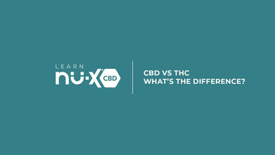 CBD vs THC – What’s the Difference?