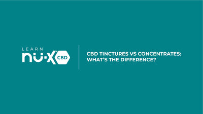 CBD Tinctures vs Concentrates: What’s the Difference?