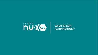 What is CBN Cannabinol?